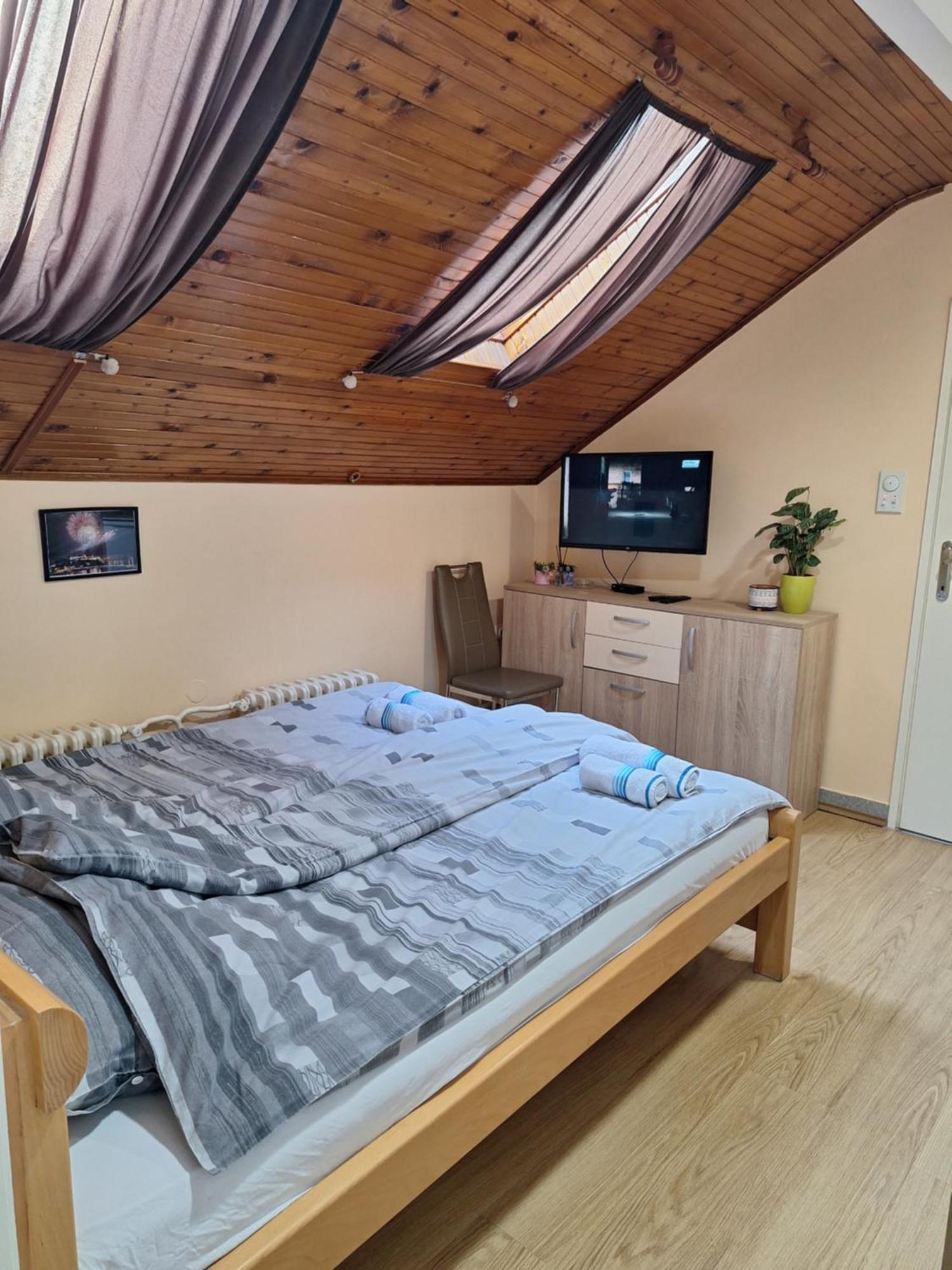 Apartmani Sara ノヴィ・サド エクステリア 写真
